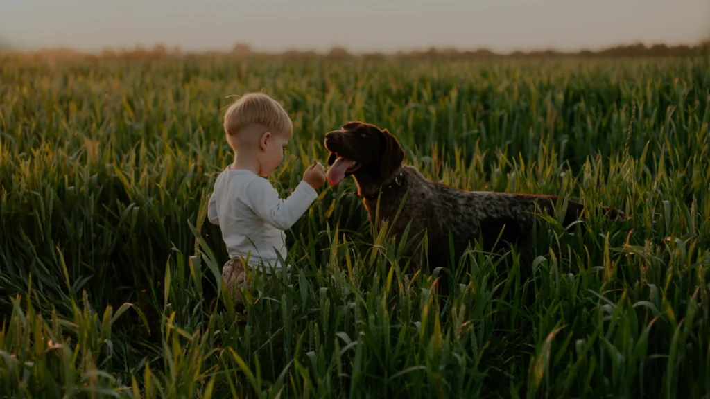 Kid and dog in a farmers field