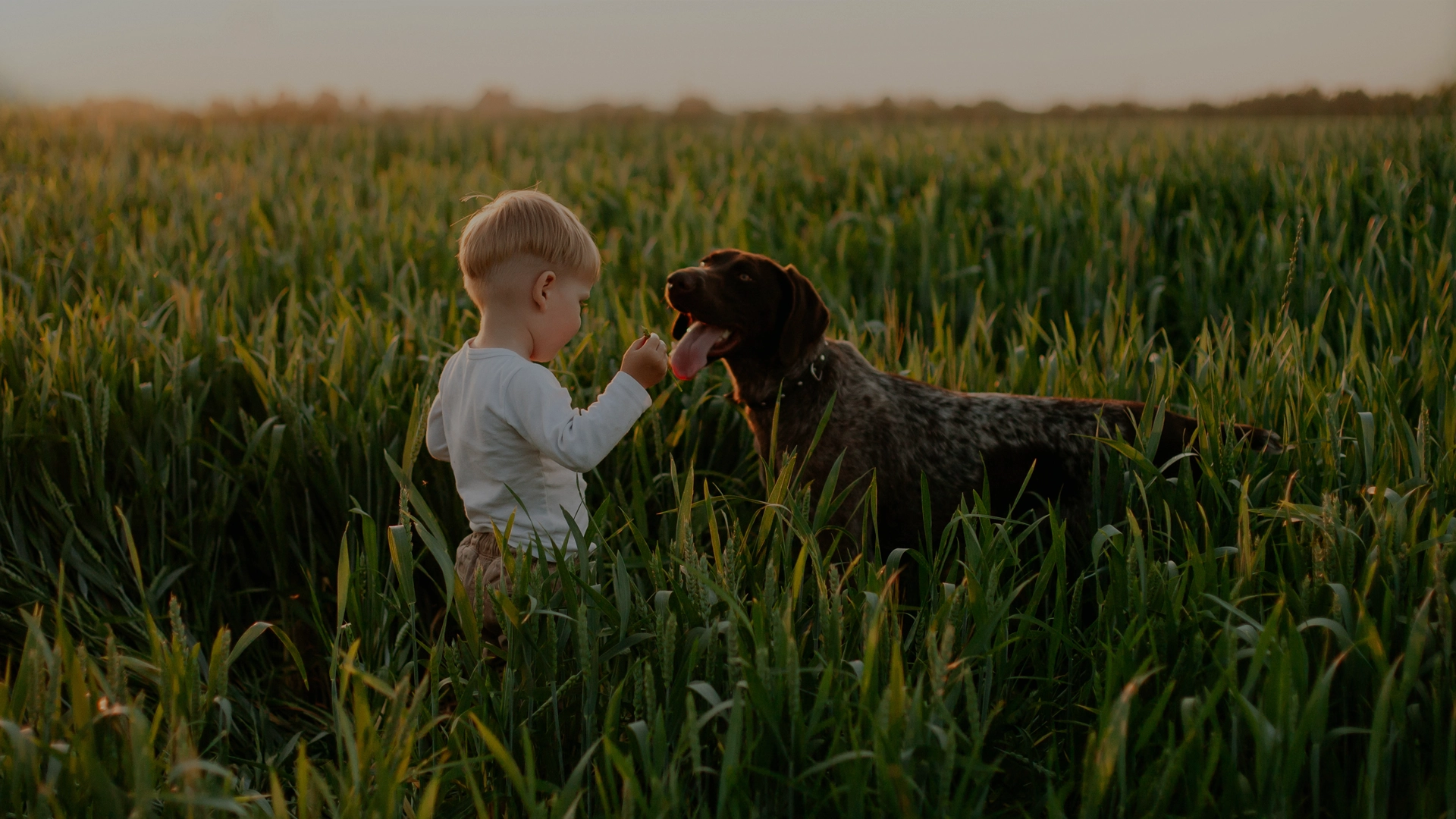 Kid and dog in a farmers field